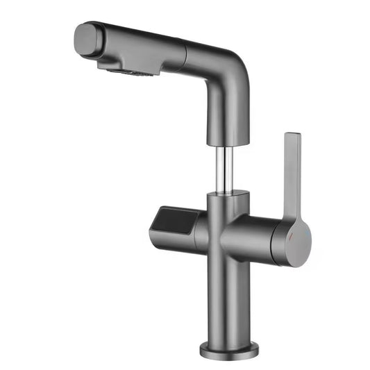 Single Hole Liftable Rotating Pull Out Faucet