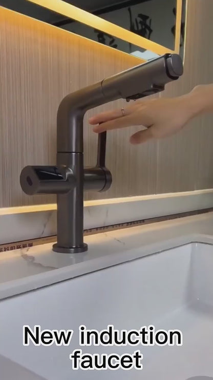 Single Hole Liftable Rotating Pull Out Faucet